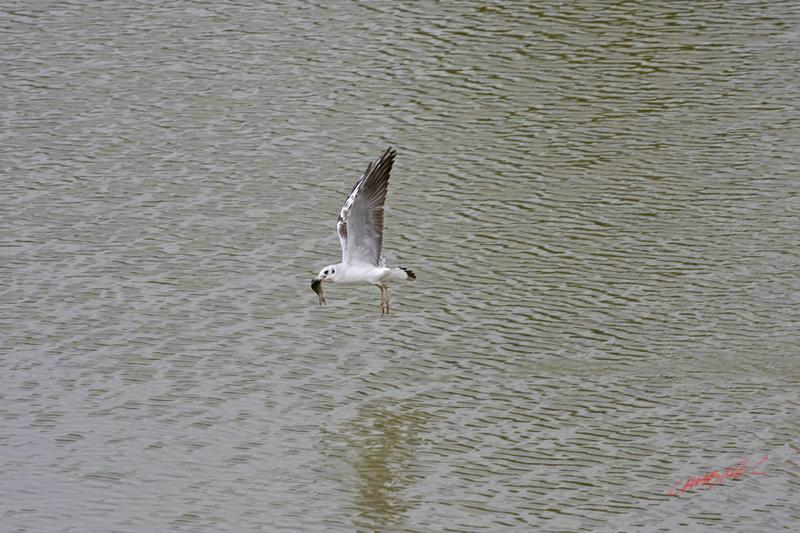 Cjp_2008_09_11_160811 (2).jpg